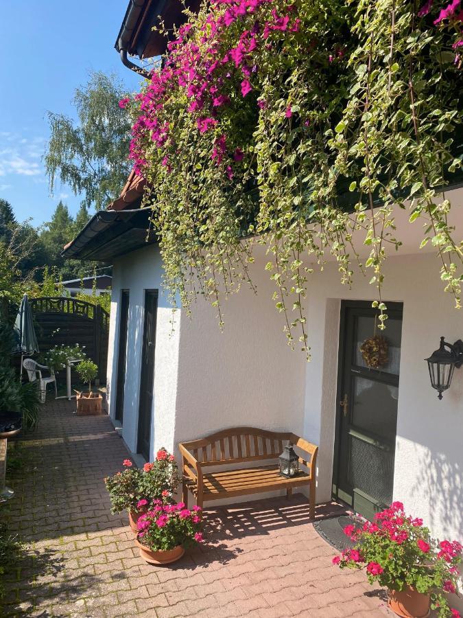 Ferienwohnungen Elsterblick Bad Elster Buitenkant foto