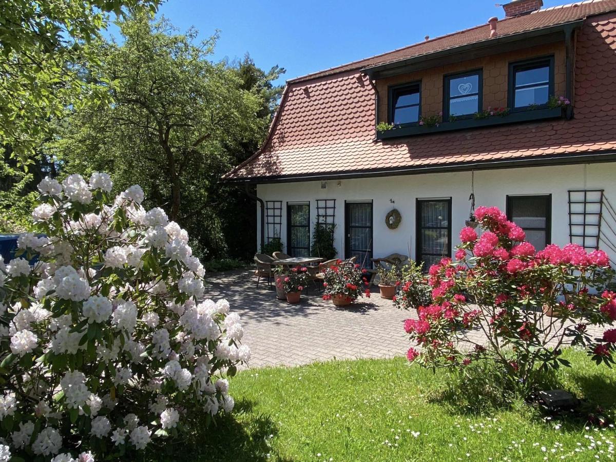 Ferienwohnungen Elsterblick Bad Elster Buitenkant foto