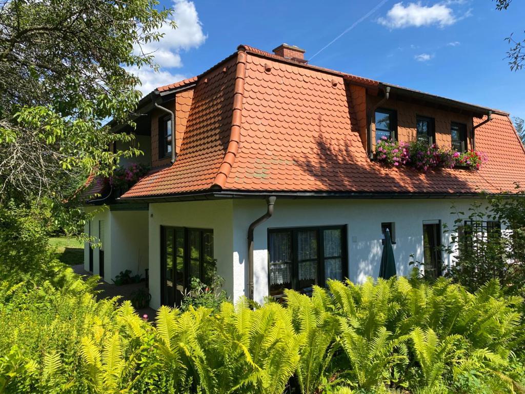 Ferienwohnungen Elsterblick Bad Elster Buitenkant foto