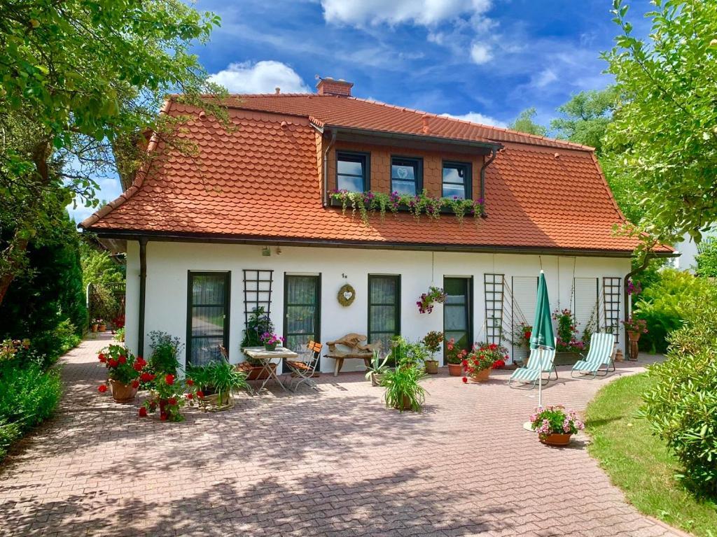 Ferienwohnungen Elsterblick Bad Elster Buitenkant foto