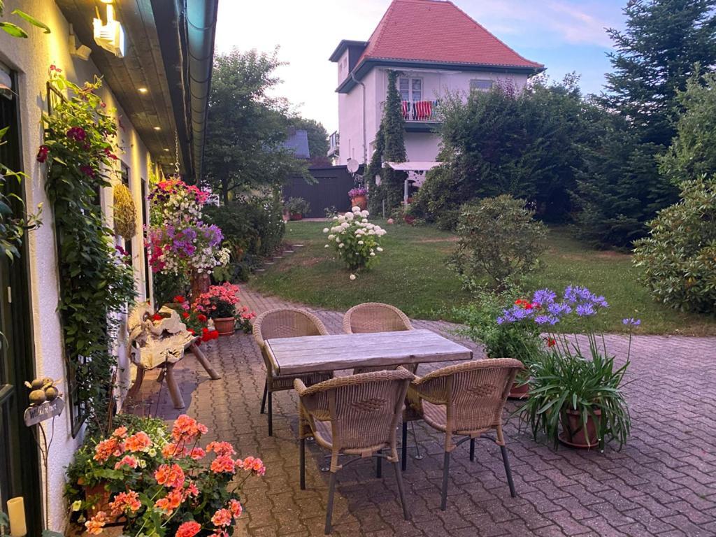 Ferienwohnungen Elsterblick Bad Elster Buitenkant foto