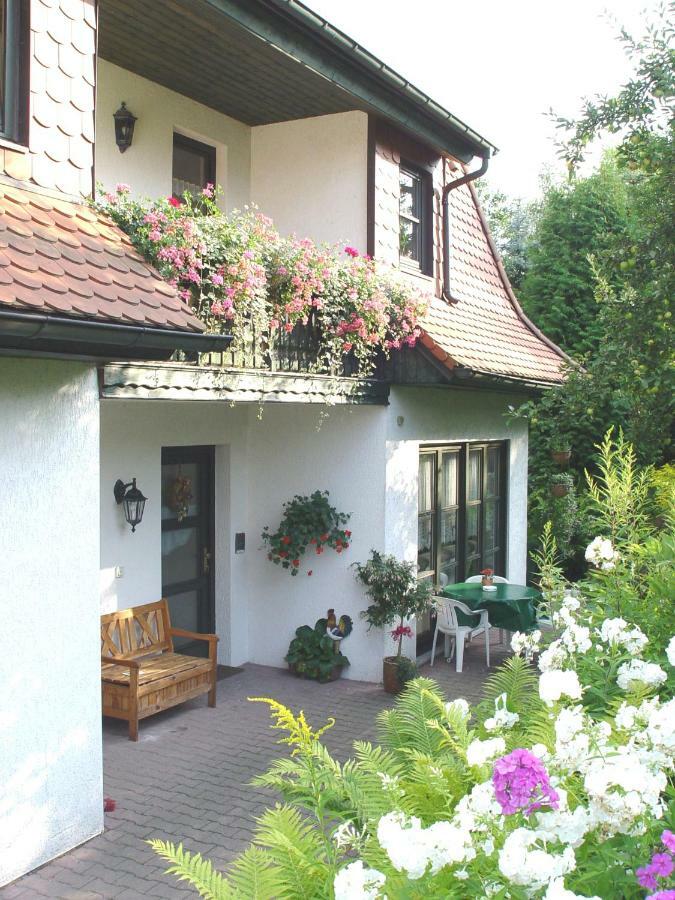 Ferienwohnungen Elsterblick Bad Elster Buitenkant foto